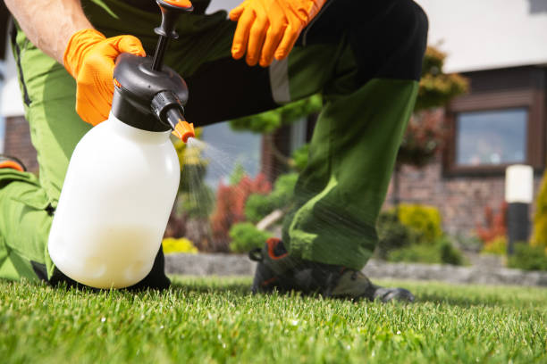 Flea Control Services in Clarkston, WA