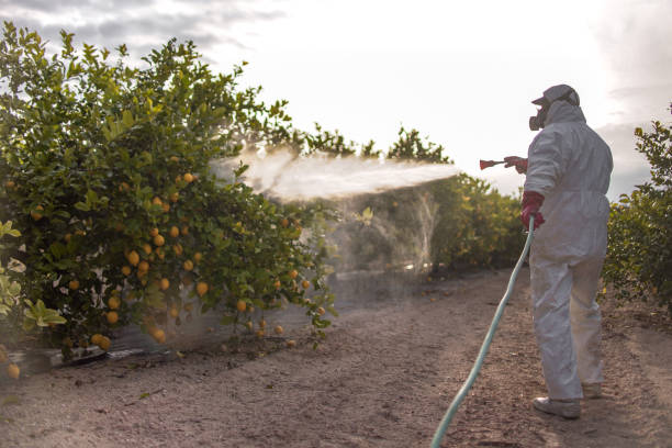 Reliable Clarkston, WA Pest Control Solutions