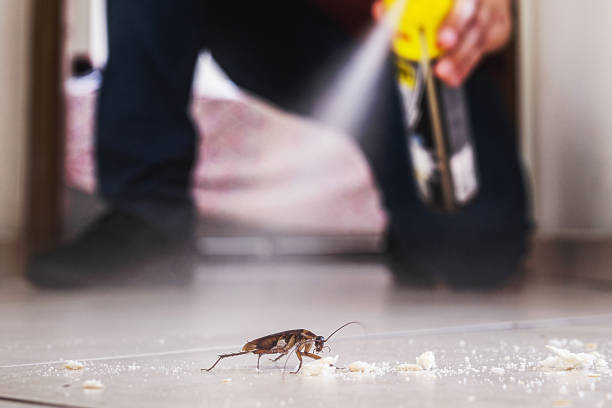 Best Commercial Pest Control Services  in Clarkston, WA