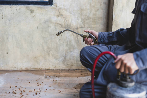 Best Exterminator Services  in Clarkston, WA